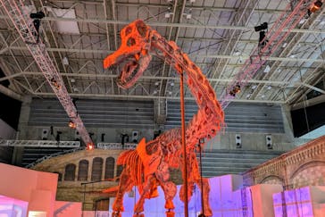 巨大恐竜展2024に投稿された画像（2024/7/18）