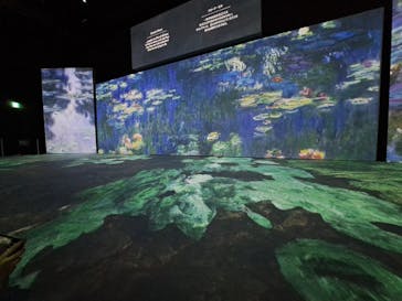 モネ＆フレンズ・アライブに投稿された画像（2024/7/18）