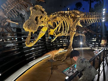 福井県立恐竜博物館に投稿された画像（2024/7/18）