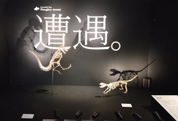DinoScience 恐竜科学博 ～ララミディア大陸の恐竜物語～ 2024@OSAKAに投稿された画像（2024/7/18）