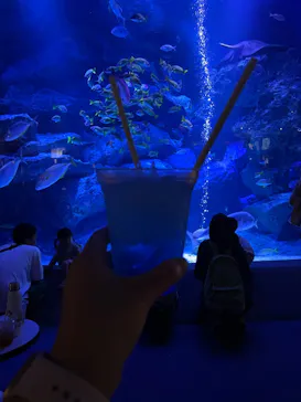 すみだ水族館に投稿された画像（2024/7/18）