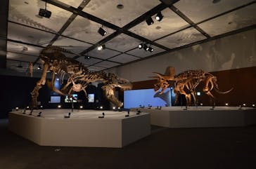 DinoScience 恐竜科学博 ～ララミディア大陸の恐竜物語～ 2024@OSAKAに投稿された画像（2024/7/18）