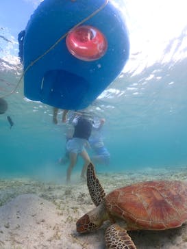 ちゃこたびに投稿された画像（2024/7/18）