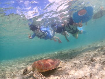 ちゃこたびに投稿された画像（2024/7/18）