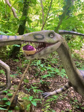 御菓子御殿　名護店　やんばる亜熱帯の森DINO恐竜PARKに投稿された画像（2024/7/18）