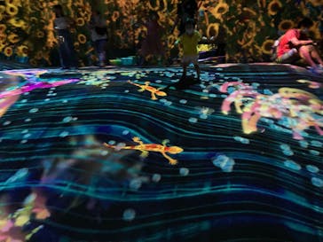 チームラボフォレスト 福岡 - SBI証券に投稿された画像（2024/7/18）