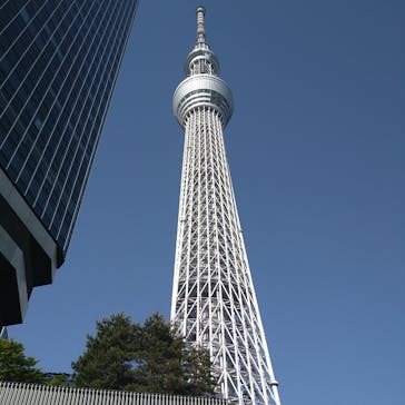 サンシャイン水族館に投稿された画像（2024/7/18）