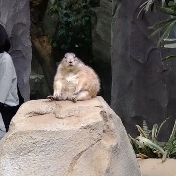 AQUARIUM × ART　atoa×神戸どうぶつ王国に投稿された画像（2024/7/18）