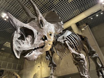 国立科学博物館に投稿された画像（2024/7/18）