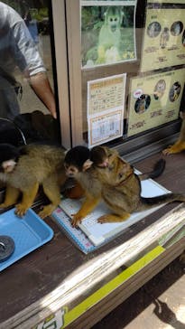 伊豆シャボテン動物公園に投稿された画像（2024/7/18）