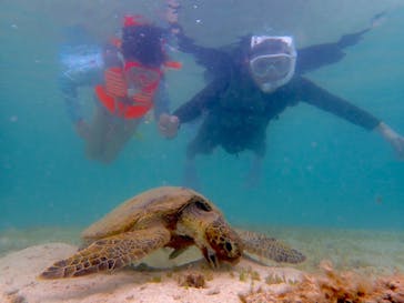 nico 宮古島に投稿された画像（2024/7/18）