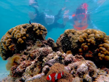 nico 宮古島に投稿された画像（2024/7/18）