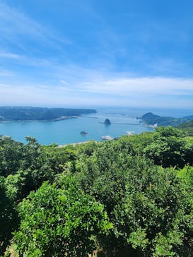 下田ロープウェイに投稿された画像（2024/7/18）