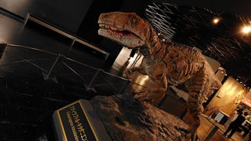 福井県立恐竜博物館に投稿された画像（2024/7/18）