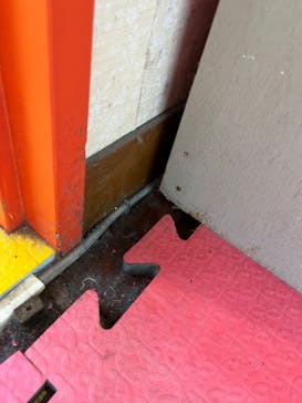 芝政ワールドに投稿された画像（2024/7/19）