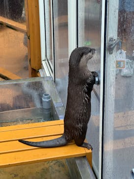 大分マリーンパレス水族館 「うみたまご」に投稿された画像（2024/7/19）
