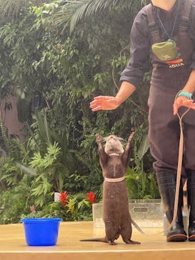 マクセル アクアパーク品川に投稿された画像（2024/7/19）