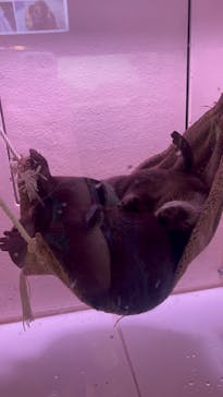 マクセル アクアパーク品川に投稿された画像（2024/7/19）