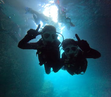 沖縄マリンサービス碧に投稿された画像（2024/7/19）