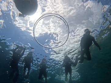 武藤潜水に投稿された画像（2024/7/19）