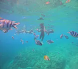 武藤潜水に投稿された画像（2024/7/19）