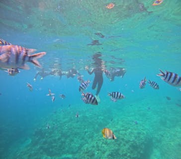 武藤潜水に投稿された画像（2024/7/19）