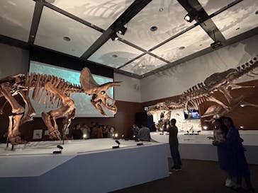 DinoScience 恐竜科学博 ～ララミディア大陸の恐竜物語～ 2024@OSAKAに投稿された画像（2024/7/19）
