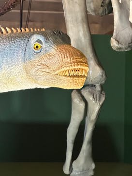 巨大恐竜展2024に投稿された画像（2024/7/19）