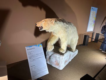 巨大恐竜展2024に投稿された画像（2024/7/19）