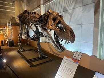 巨大恐竜展2024に投稿された画像（2024/7/19）