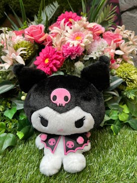 サンリオピューロランドに投稿された画像（2024/7/19）