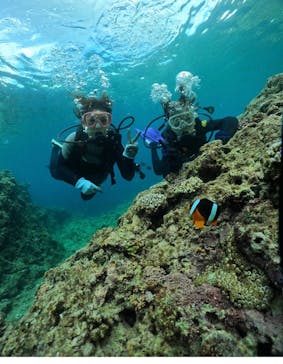 武藤潜水に投稿された画像（2024/7/19）