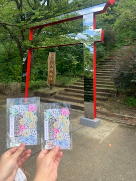 ACAO FORESTに投稿された画像（2024/7/19）