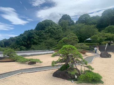 ACAO FORESTに投稿された画像（2024/7/19）