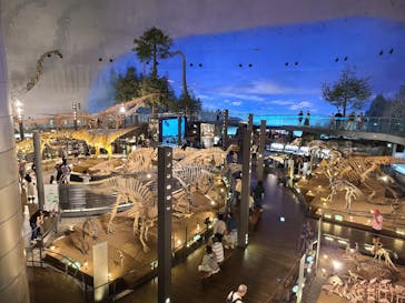 福井県立恐竜博物館に投稿された画像（2024/7/19）