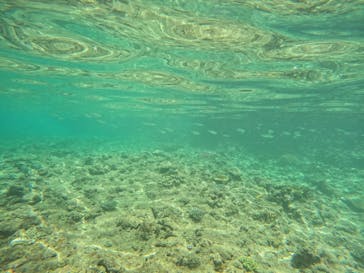 沖縄マリンサービス碧に投稿された画像（2024/7/19）