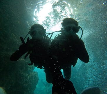 沖縄マリンサービス碧に投稿された画像（2024/7/19）