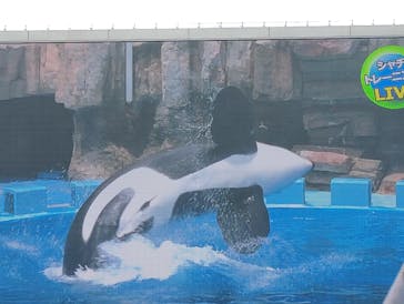 名古屋港水族館に投稿された画像（2024/7/19）