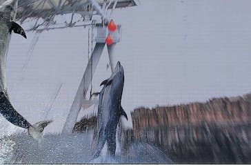 名古屋港水族館に投稿された画像（2024/7/19）