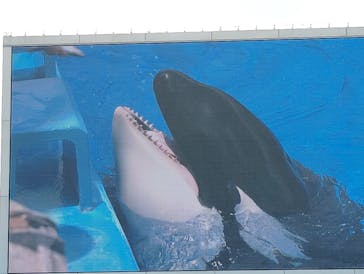 名古屋港水族館に投稿された画像（2024/7/19）