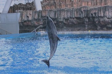 名古屋港水族館に投稿された画像（2024/7/19）