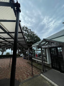 伊豆高原ダイビングスクール 渋谷店に投稿された画像（2024/7/19）