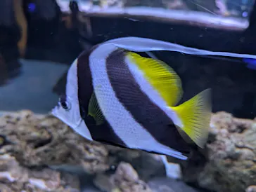 すみだ水族館に投稿された画像（2024/7/19）