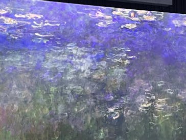 モネ＆フレンズ・アライブに投稿された画像（2024/7/19）