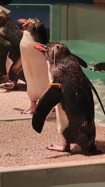 AOAO SAPPOROに投稿された画像（2024/7/19）