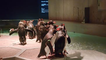 AOAO SAPPOROに投稿された画像（2024/7/19）