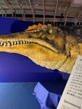 巨大恐竜展2024に投稿された画像（2024/7/19）
