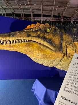 巨大恐竜展2024に投稿された画像（2024/7/19）