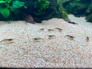 AOAO SAPPOROに投稿された画像（2024/7/19）