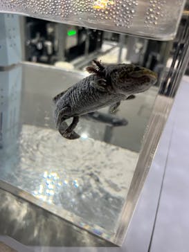 AOAO SAPPOROに投稿された画像（2024/7/19）